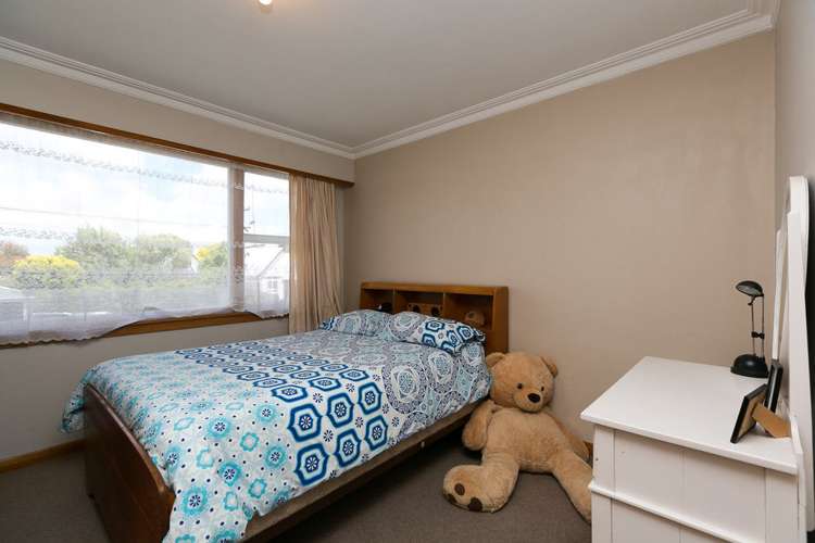 245 Carrington Street Vogeltown_12