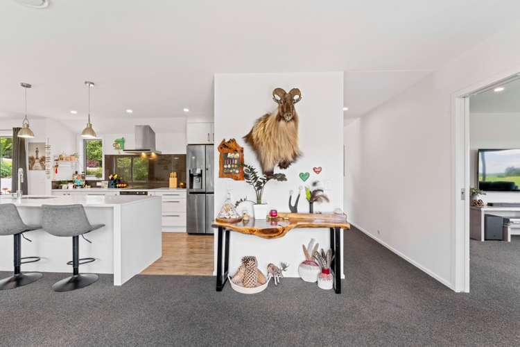 151b Palmer Mill Road Wairakei And Surrounds_10