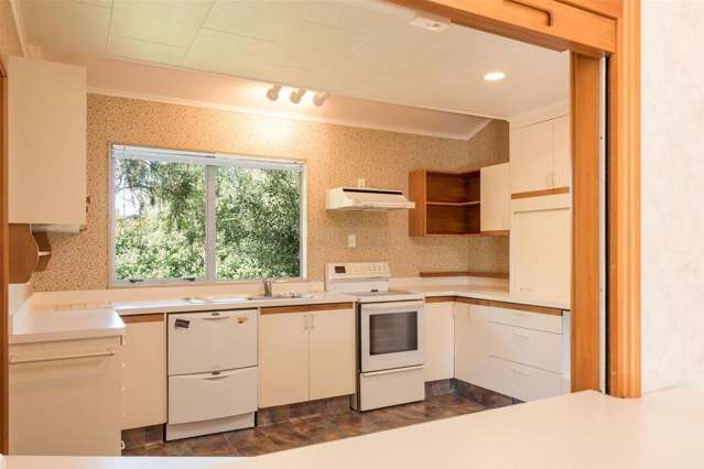 41 Anglesea Street Renwick_1