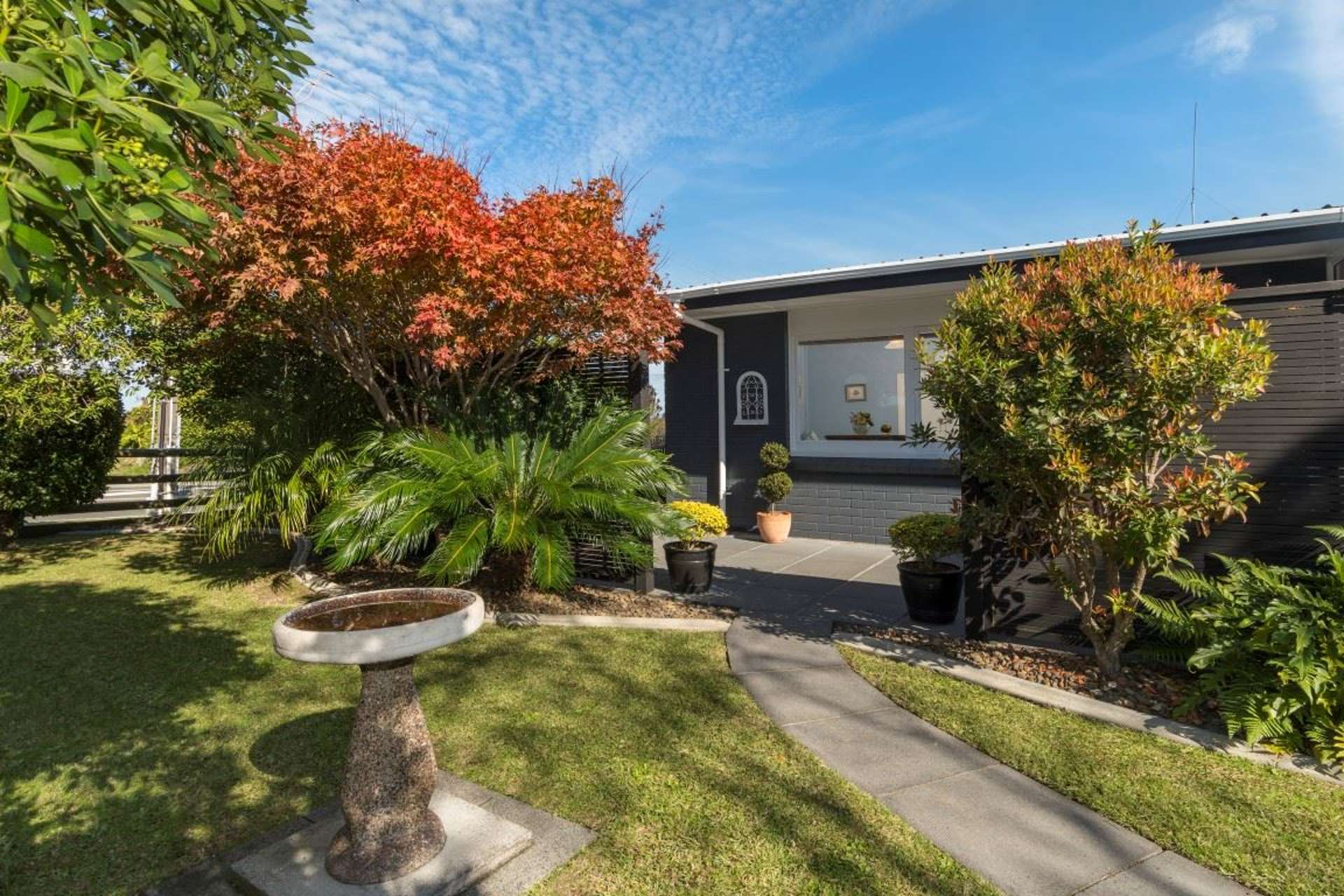 169 Levers Road Matua_0