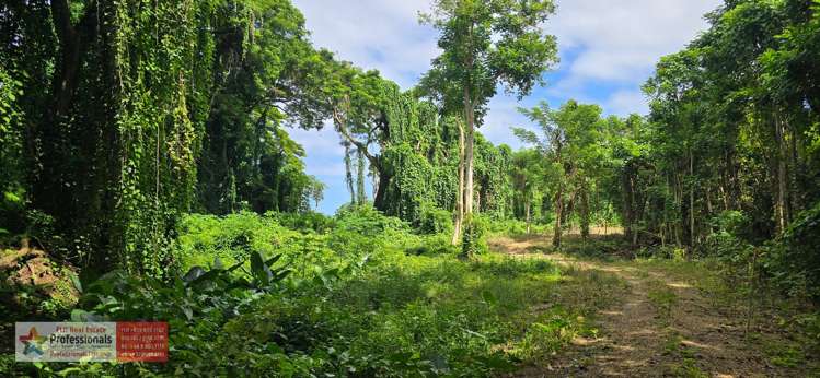 Address withheld Savusavu_8