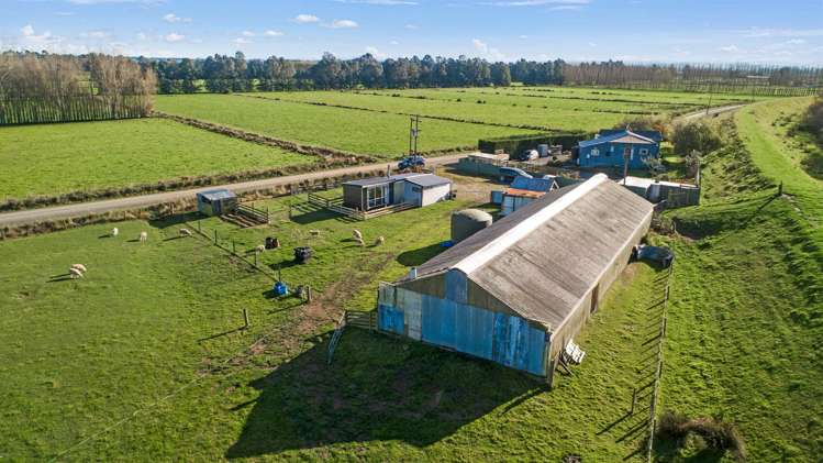 547 Koau Road Balclutha_23