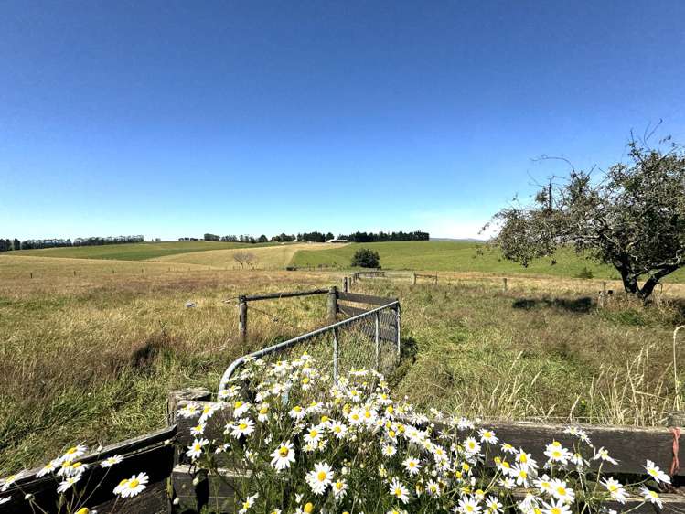 86 Totara Island Road Balclutha_34