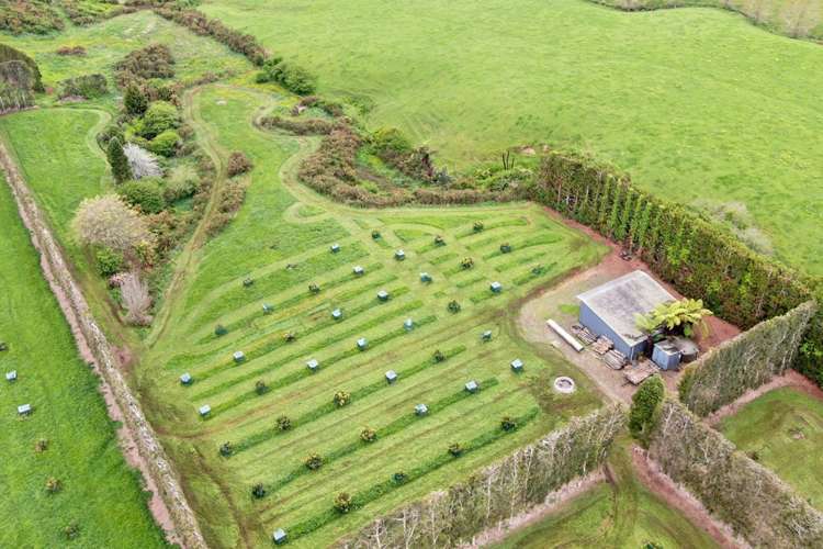 211 Pukekauri Road Waikino_21