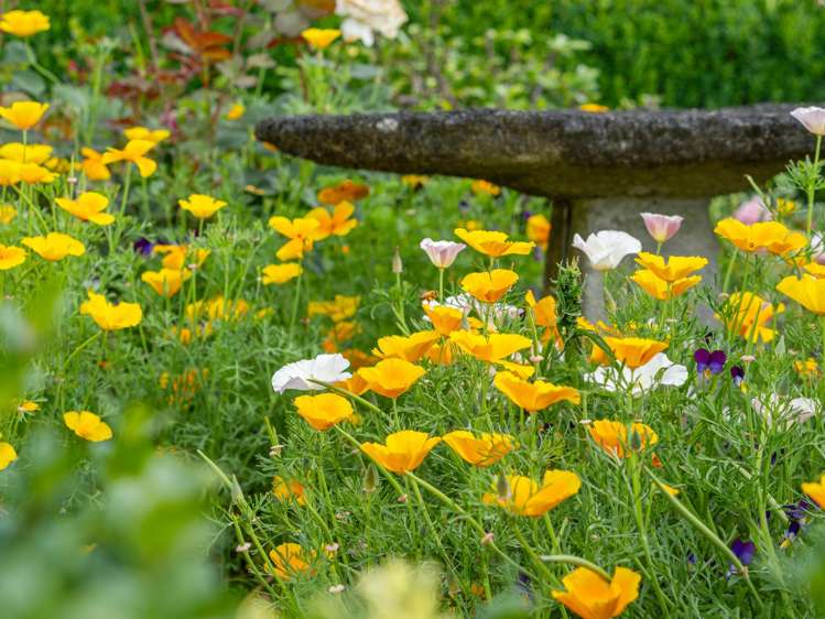 28 Sing Road Te Awamutu_18