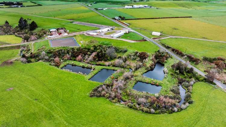 0n Ngarongo Road Normanby_24