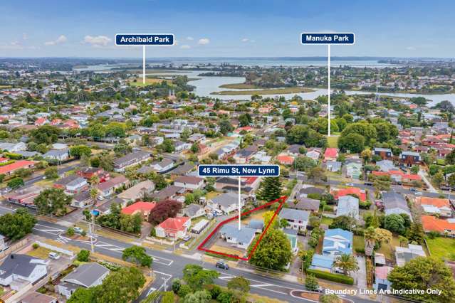 45 Rimu Street New Lynn_1