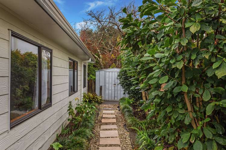 8a Soutars Avenue Whakatane_12