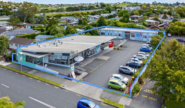 Multi-tenanted North Shore investment