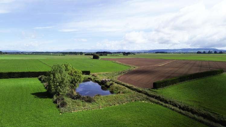 140 Day Road Oreti Plains_18