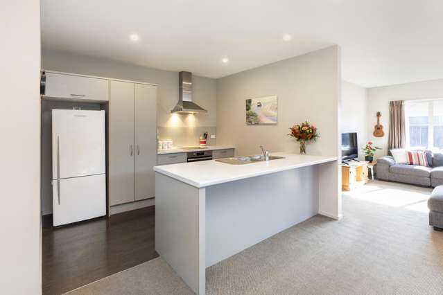 1d Moule Street Addington_2