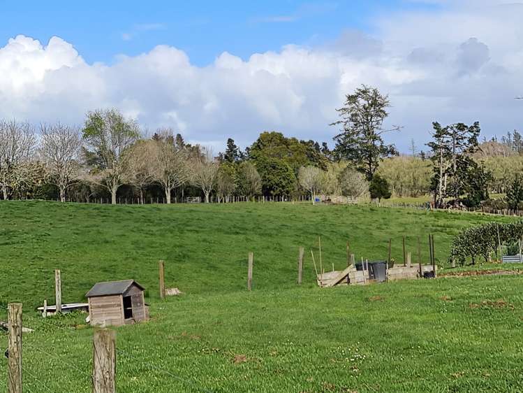 166h Postman Road Dairy Flat_7