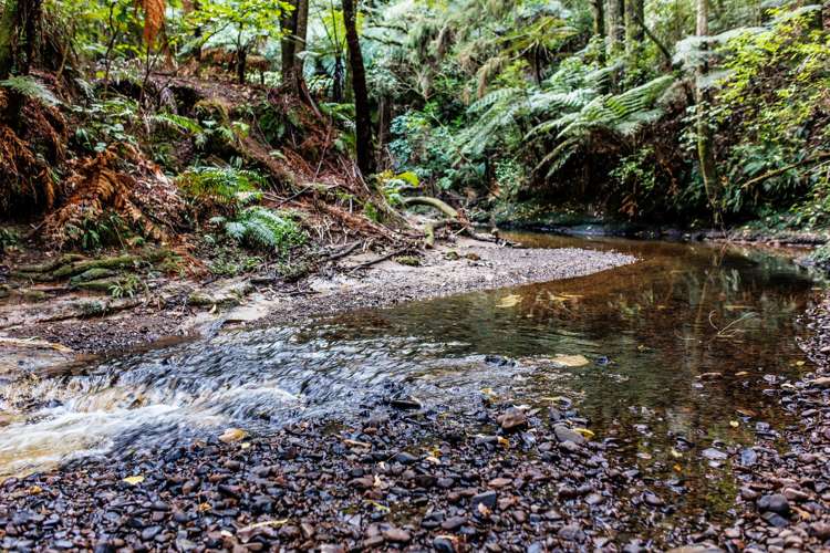 693A Stanley Road Wainui_4