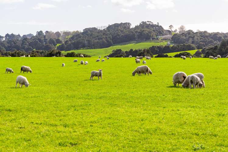 1526 Ararua Road Otamatea Surrounds_2