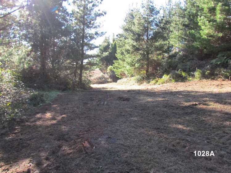 1028 A,B,C McIvor Road Rotoma_11