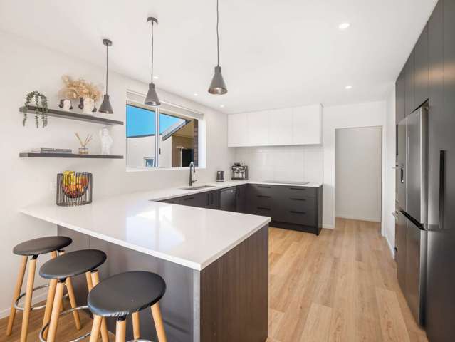 113 Reservoir Road Oamaru_1