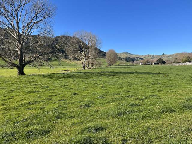 386 Rawhiti Road Te Aroha_4