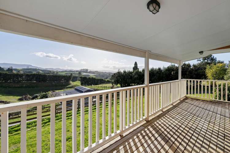 374 Youngson Road Whakamarama_17