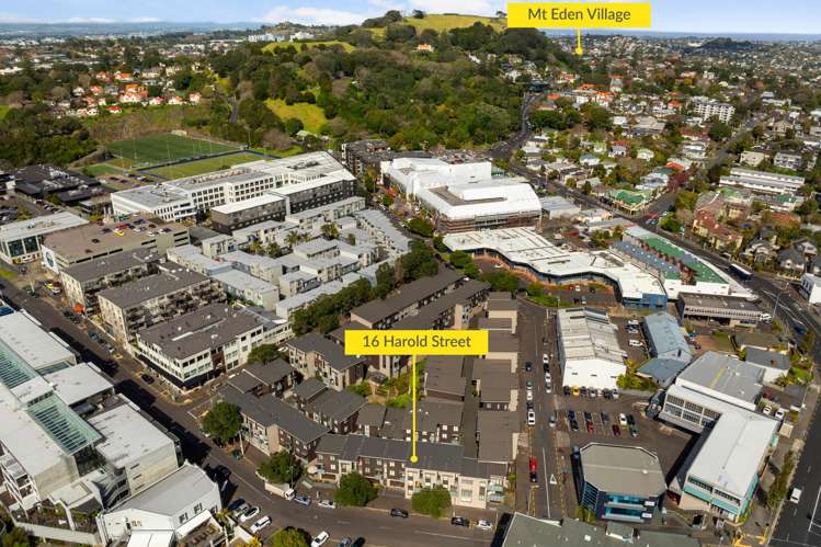 16 Harold Street Mount Eden_20