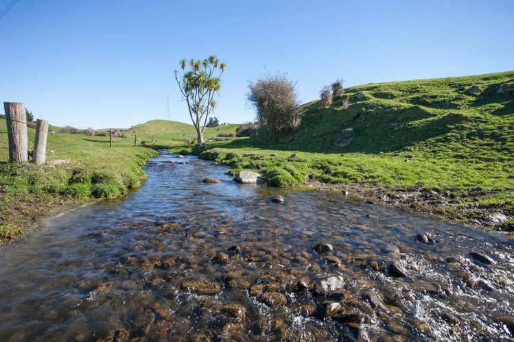 772 Oreipunga Road Cambridge_6