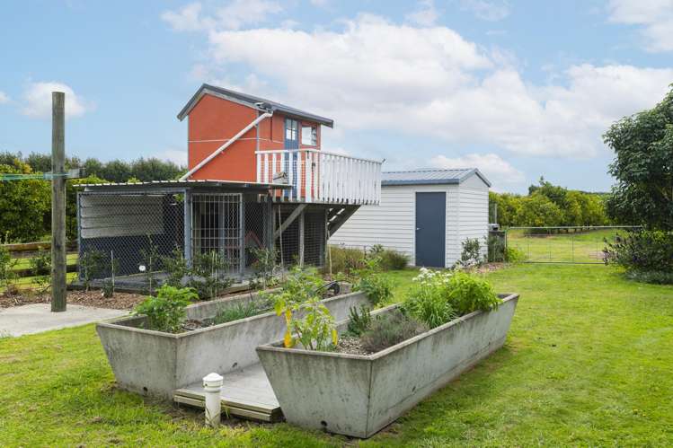 18 Jackson Road Waerengaahika_43