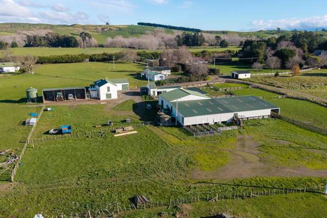 581 Maunga Road Dannevirke_2