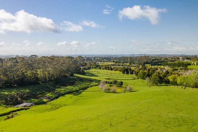 46 Macadamia Lane Kerikeri Surrounds_2