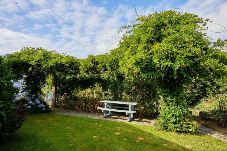 2 Adelphi Terrace Kaikoura_10