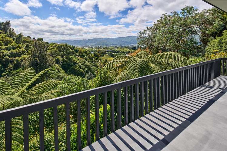 19 Palm Grove Belmont_23