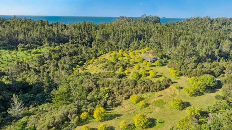 151B SH25 Tairua-Whitianga Hwy Tairua_12