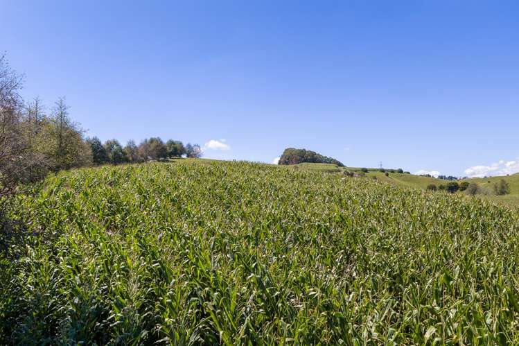 Lot 2/4/366 Karapiro Road Karapiro_18