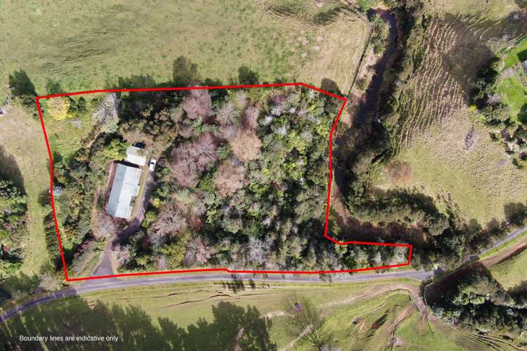 598c Wright Road Aongatete_18