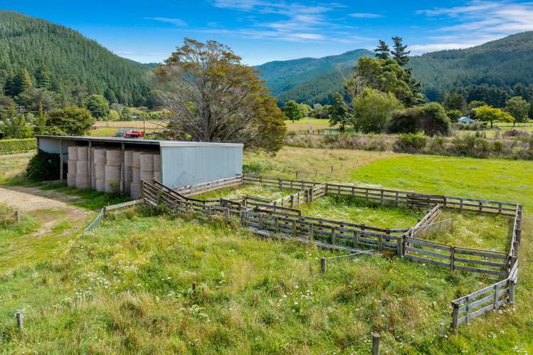 State Highway 1 Koromiko_7