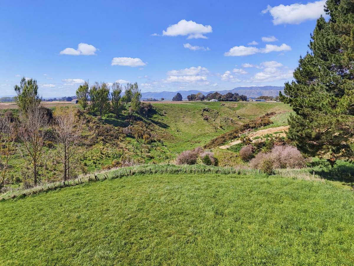 48A Heatherlea West Road_3