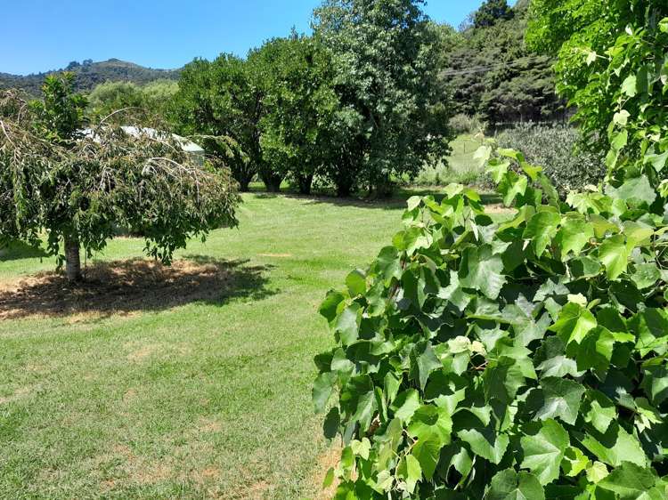 4 Cemetery Road Kuaotunu_11