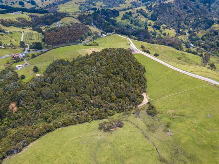 26 Cape Rodney Road Leigh_17