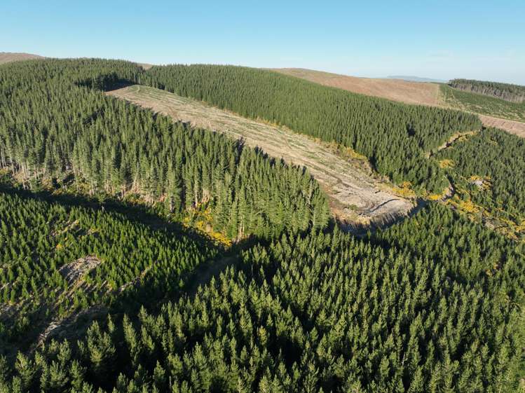 920 Dipton Mossburn Road_0