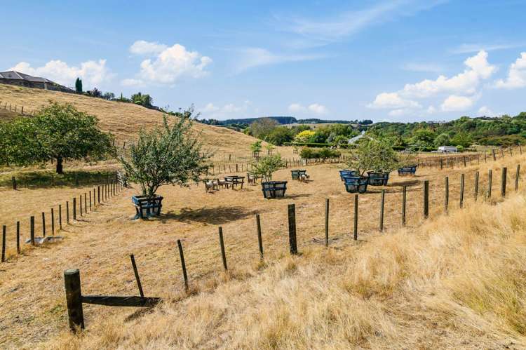 20 Glenroy Place Tikitere_26