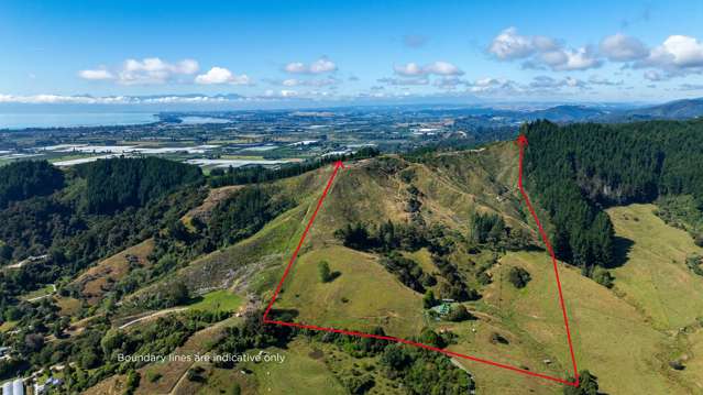 175 Dehra Doon Road, Riwaka Motueka_2