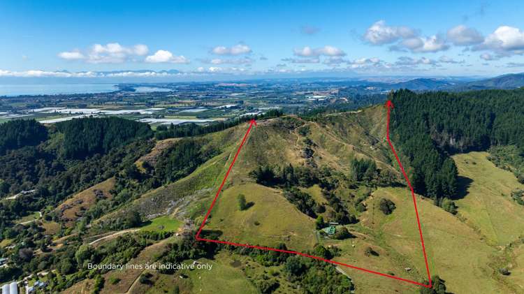 175 Dehra Doon Road, Riwaka Motueka_1