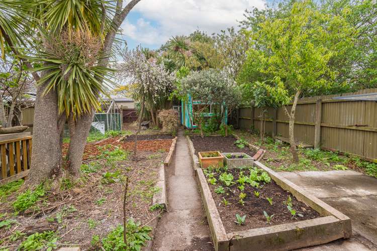 213 Olliviers Road Linwood_15