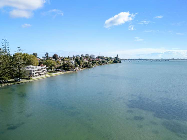 15/2 Sixth Avenue Tauranga Central_18