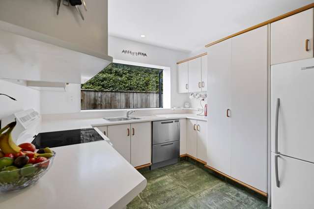 35a Tukapa Street Westown_2