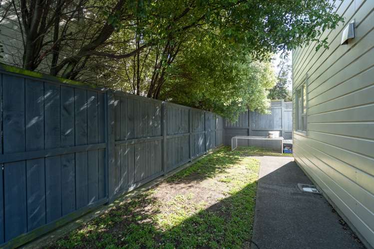 77 Tauhinu Road Miramar_6