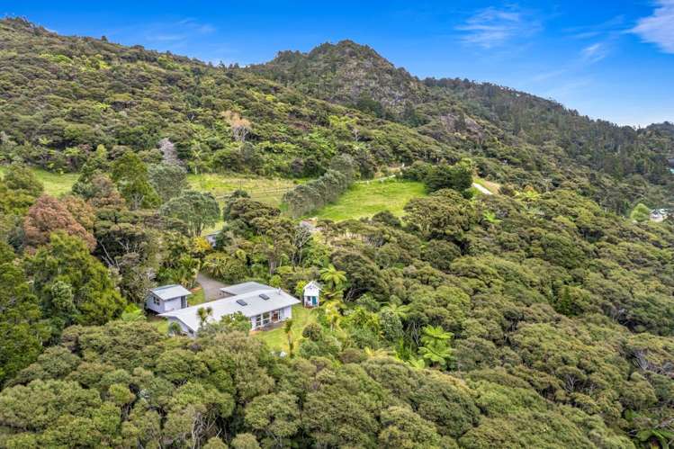 90 Lone Kauri Road Karekare_22