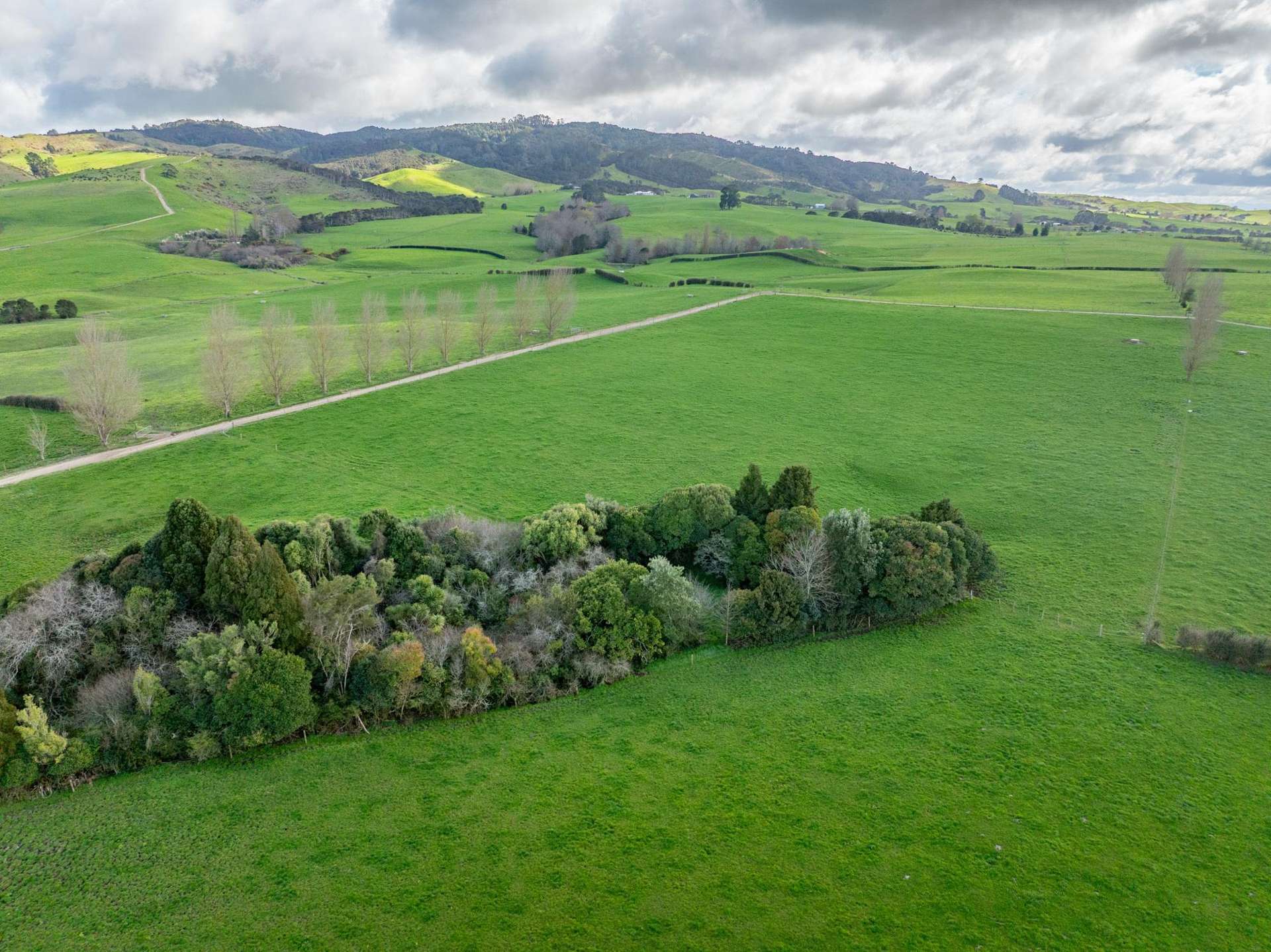180 Cameron Road Morrinsville_0