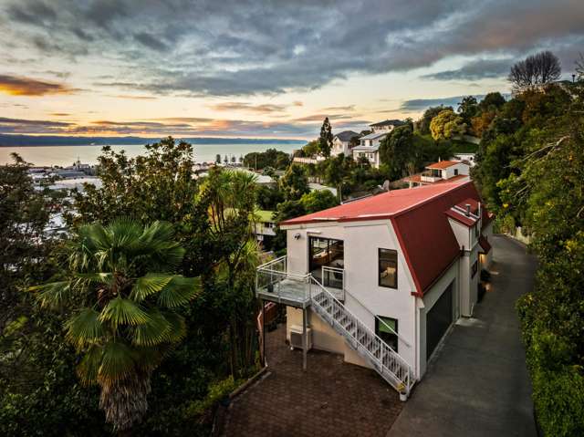 Elevated Living, Unmatched Views