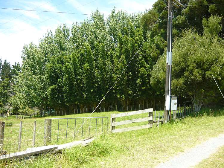 843 Whakapirau Road Whakapirau_30