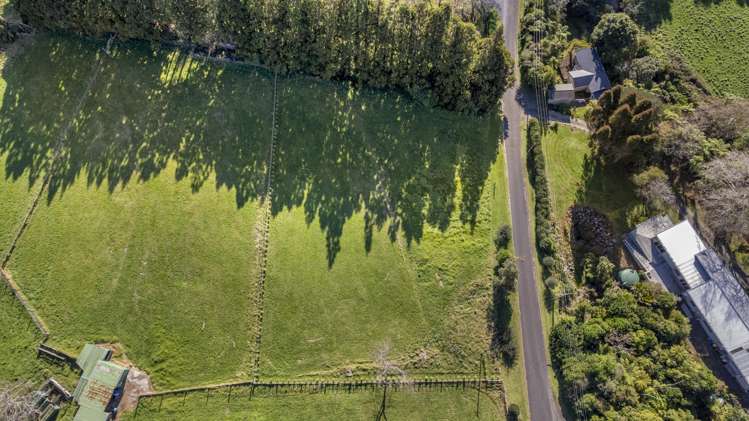 60 Saxton Road Upper Vogeltown_11
