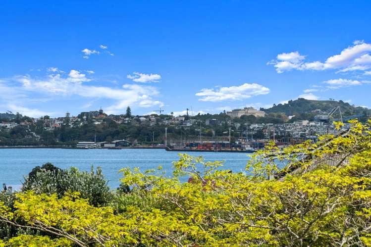 11 Calliope Road Devonport_11